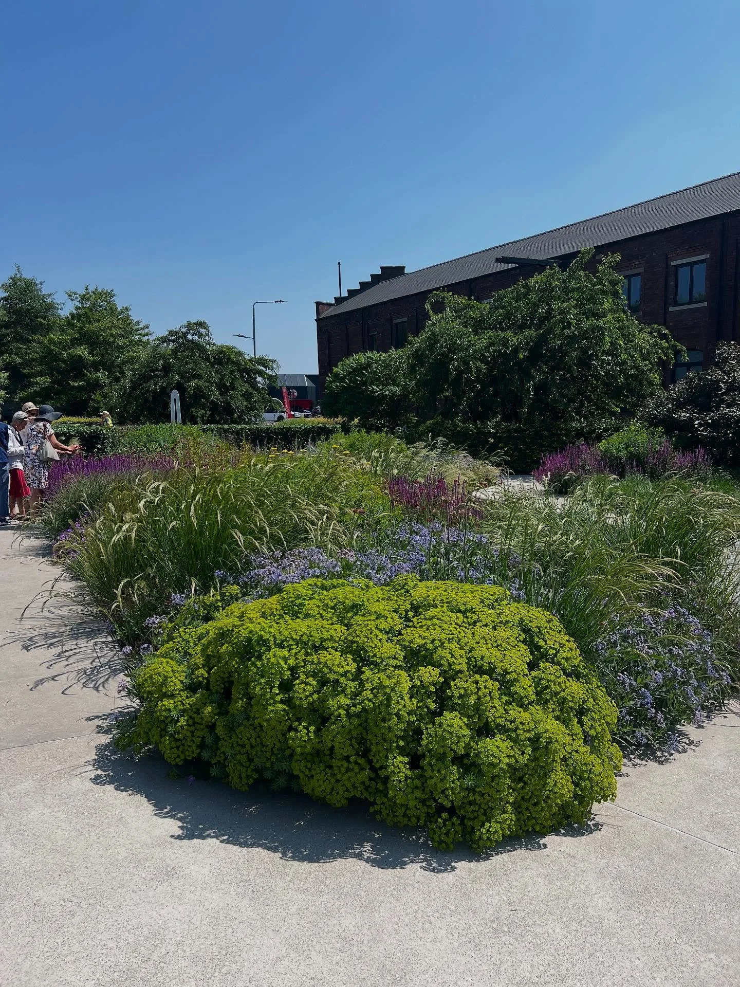 Fab sunny visit to the Hepworth Wakefield. Loved the planting by @tomstuartsmith, beautifully looked after by @katymerrington