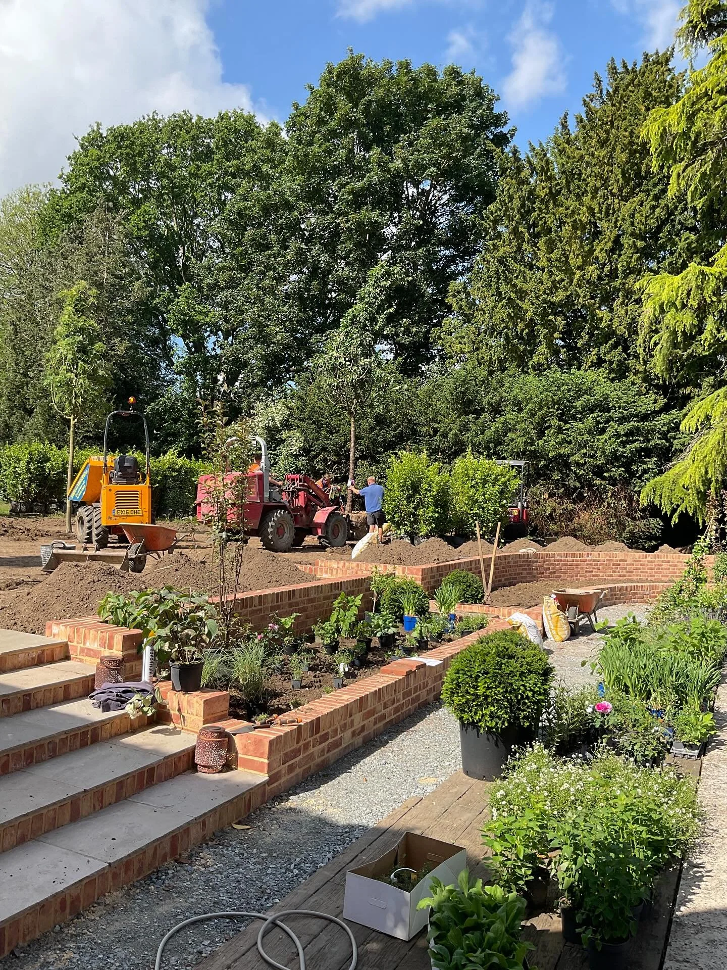 A beautiful day for setting out at a project over the other side of Norfolk. Thank you as ever to @practical_plants_ltd and to @majestictrees1 and @practicalitybrown 

It was a pleasure to work with @simons_landscaping for the first time - it won&rsq