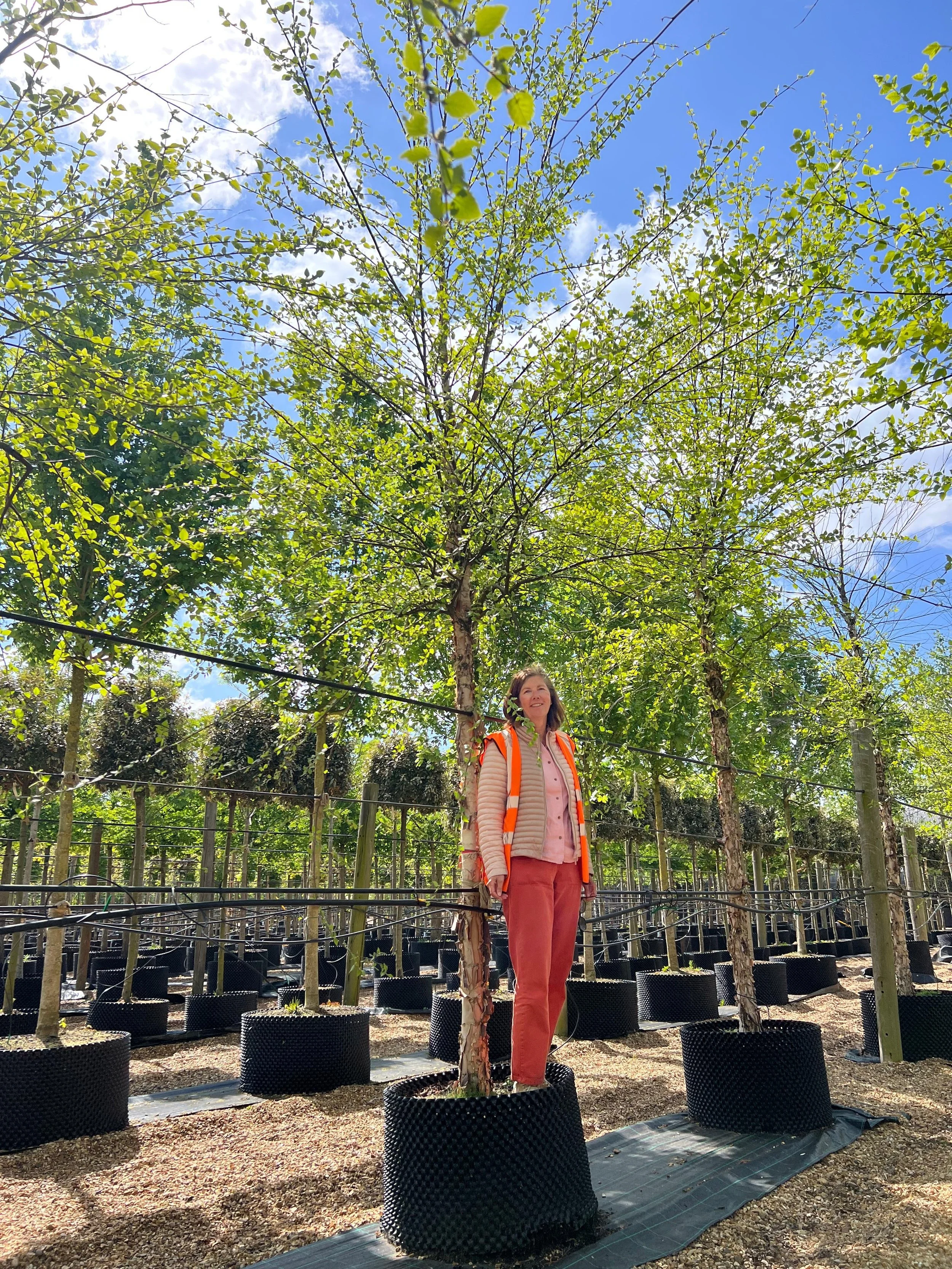 Show garden trees coming along beautifully 🌳The team at Deepdale Trees are amazing - thank you! I can&rsquo;t wait to get planting at Sandringham 🤩