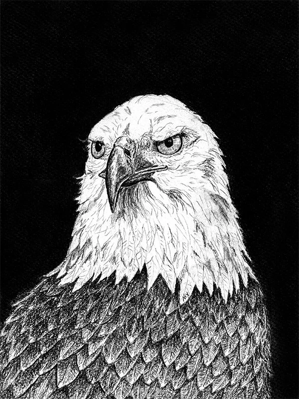 Eagle's Gaze 