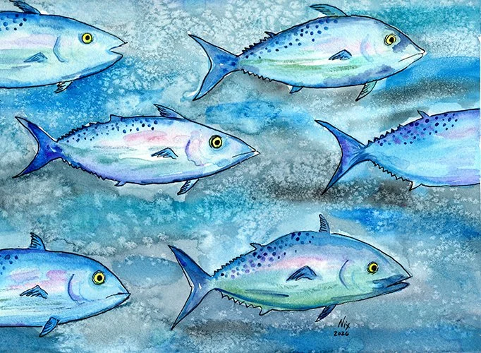 Mackerel Mayhem