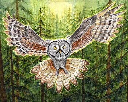On Silent Wings