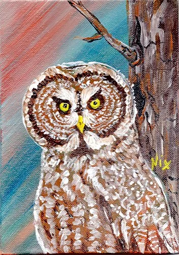 Great Gray Owl