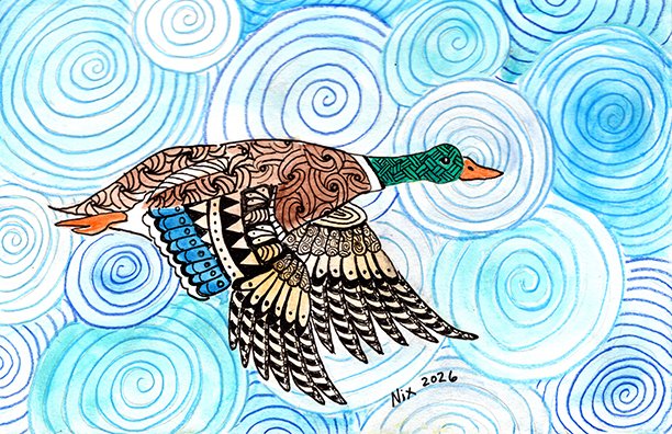 Zen Mallard