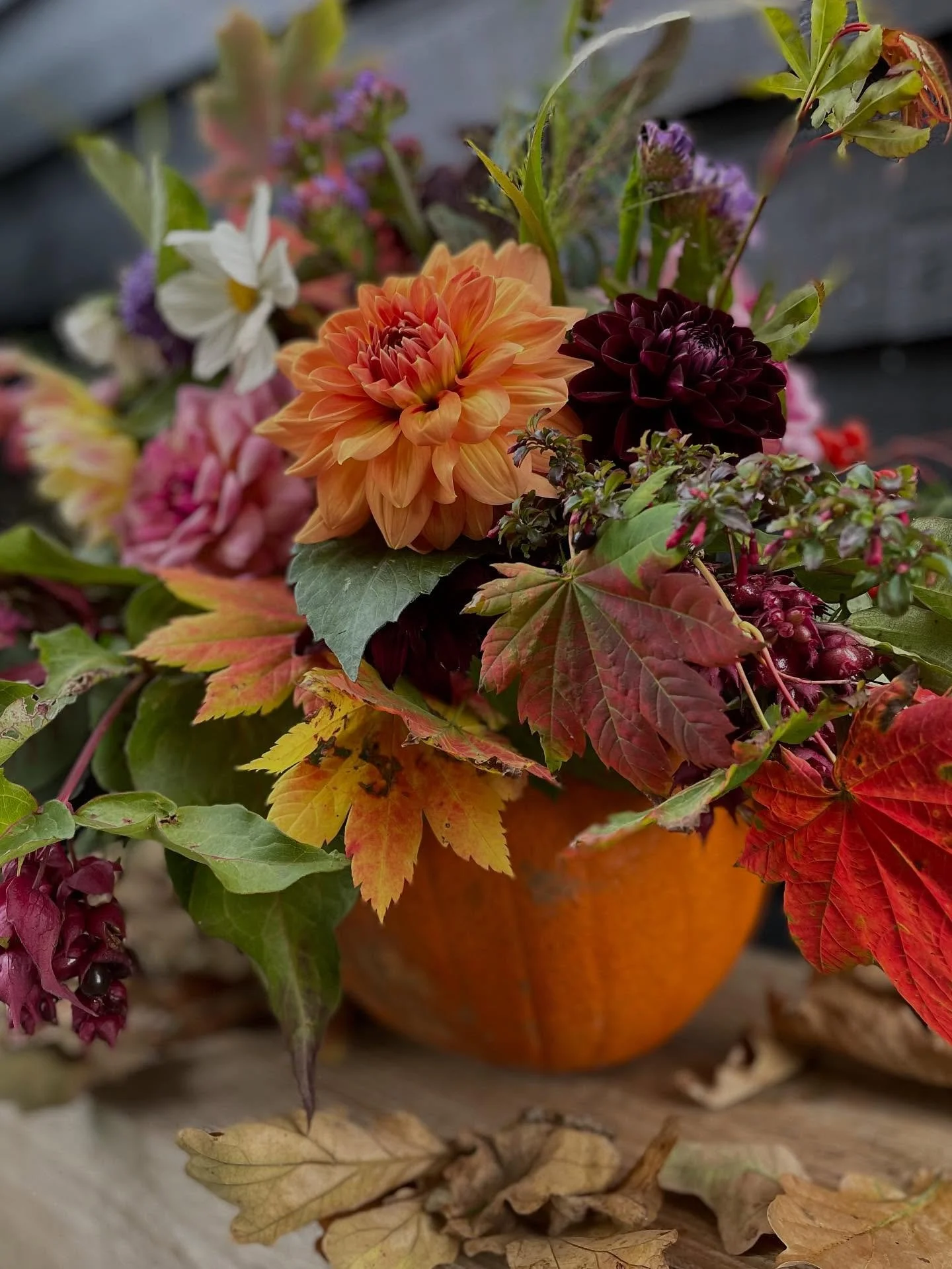 Just playing around with pumpkins and flowers … I feel like I have fallen off the social media bandwagon at the moment and no doubt instagram will punish me and no one will see this 😂 but I feel like I don’t want to be a slave to it, so