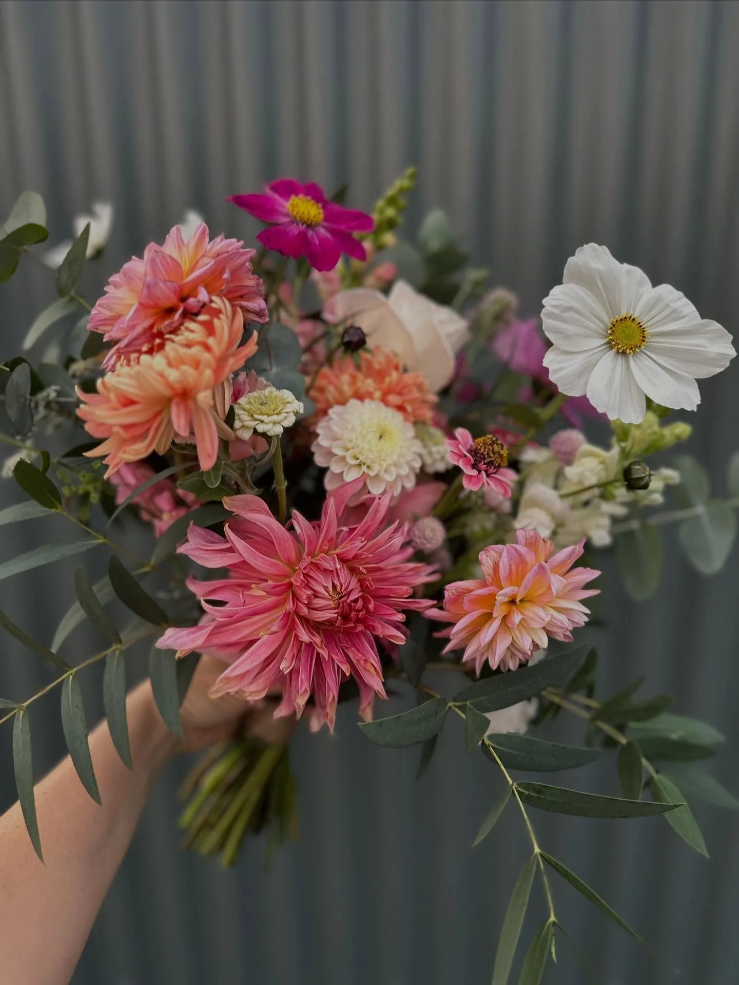 The biggest congratulations to my wonderful friend Nikki and Dave who got married this weekend 🤍. It was such a privilege to be asked to do your flowers and I am just so happy our field was able to produce some beautiful blooms for you (and make it
