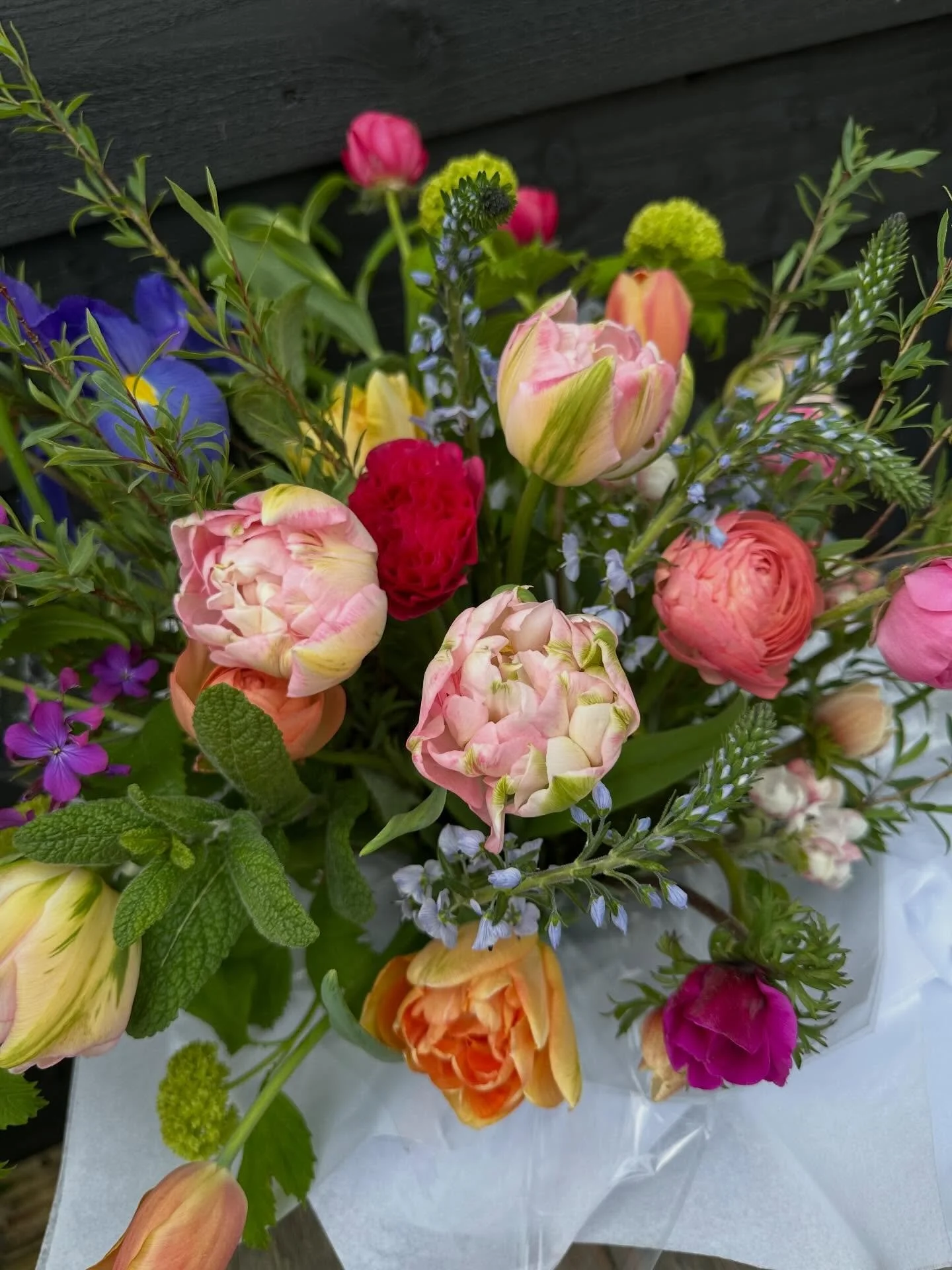 Spreading joy one bunch at a time 🫶🏻🩷

#seasonalflowerbouquet #somersetflorist #tulips #flowergrower #flowerstagram