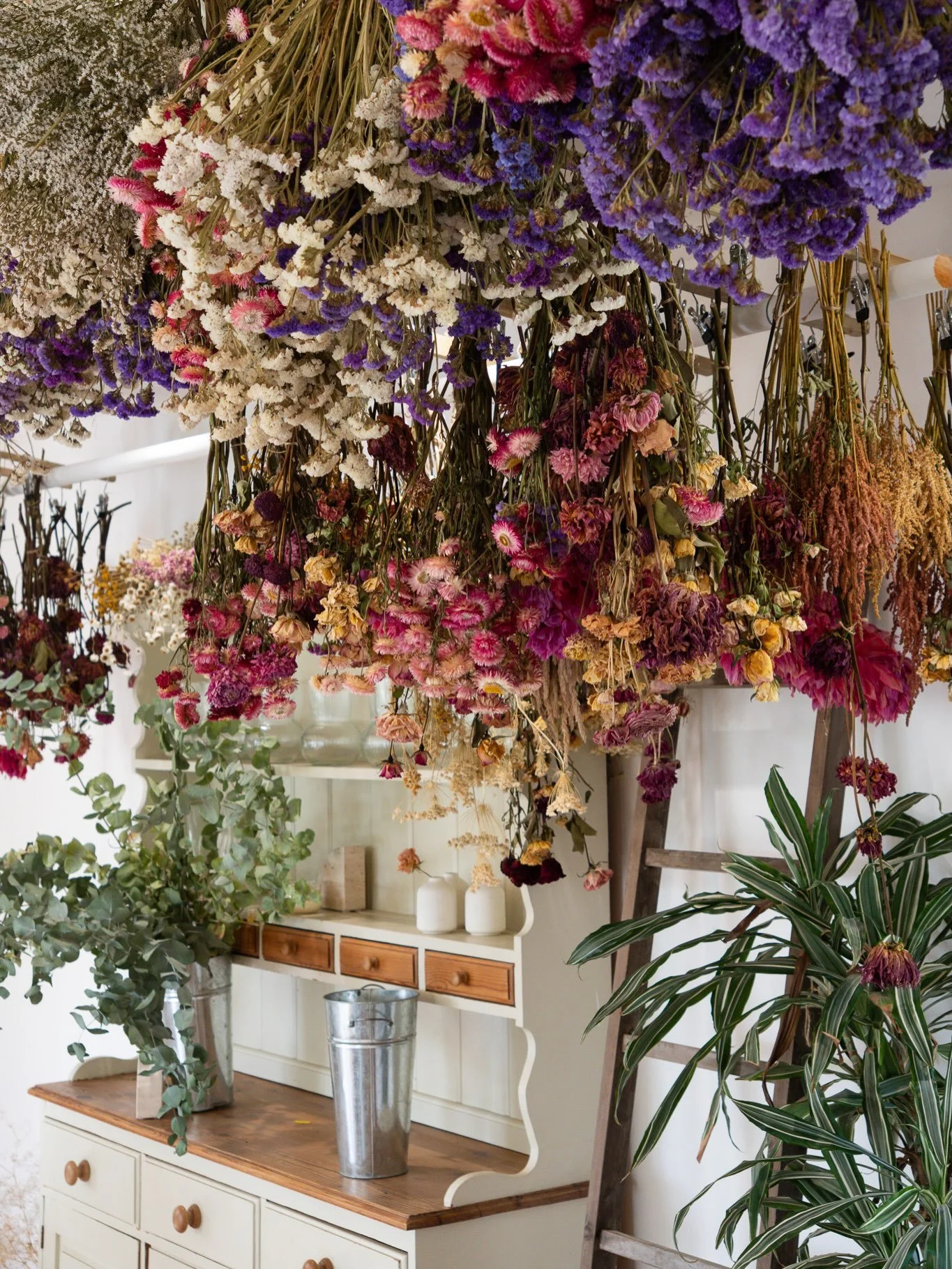 I think I could happily spend all day looking up. 🌸

Rows and rows of flowers, all dried naturally and waiting for their next chapter.

Beautifully captured by @astridheasmanphoto 

#ottiliesflowers #driedflowers #driedflorals #driedflowerdecor #dri