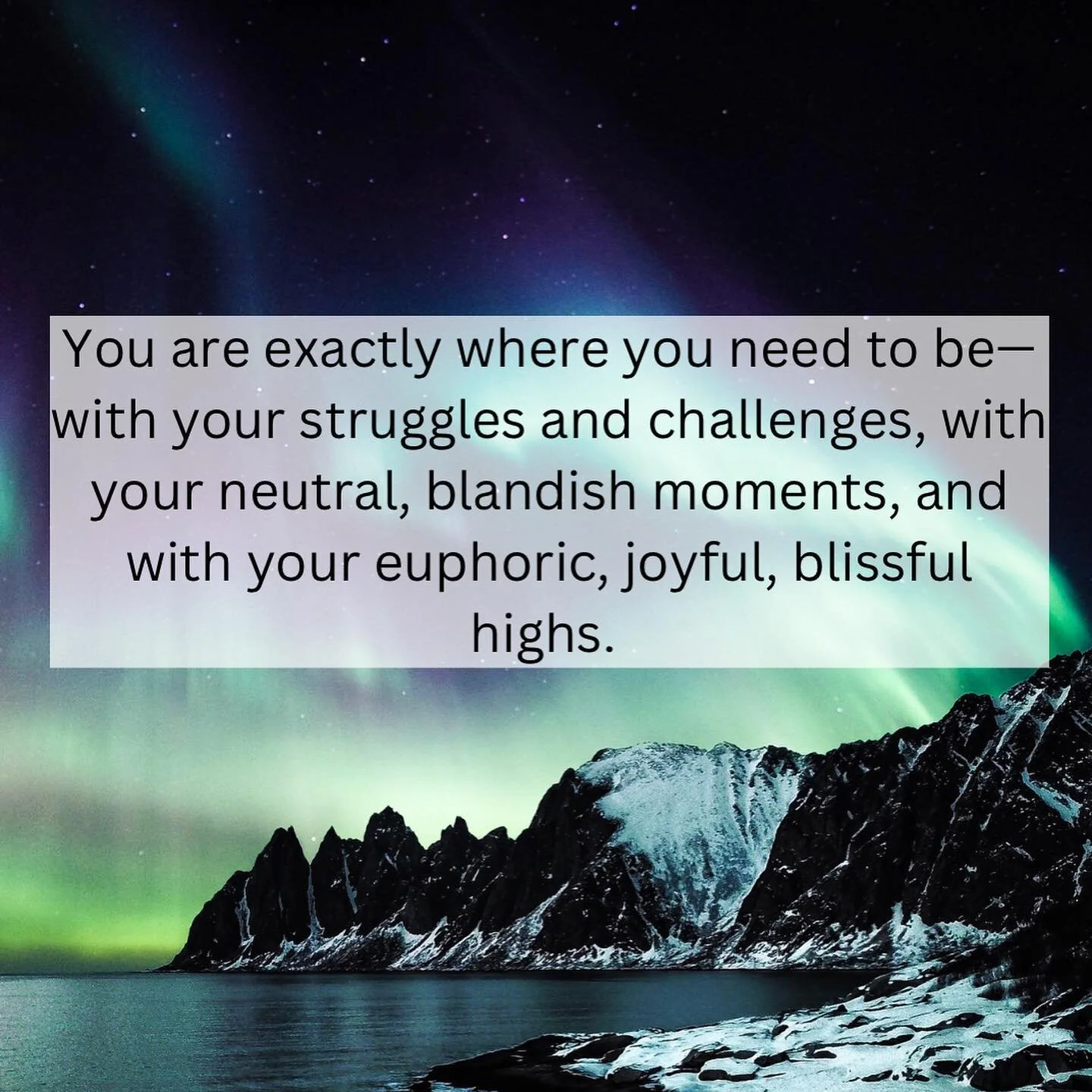 Just a small share from last nights thoughts👽🩵🦋✨ 

#presence #peace #trust #timelines #surrender #starseed