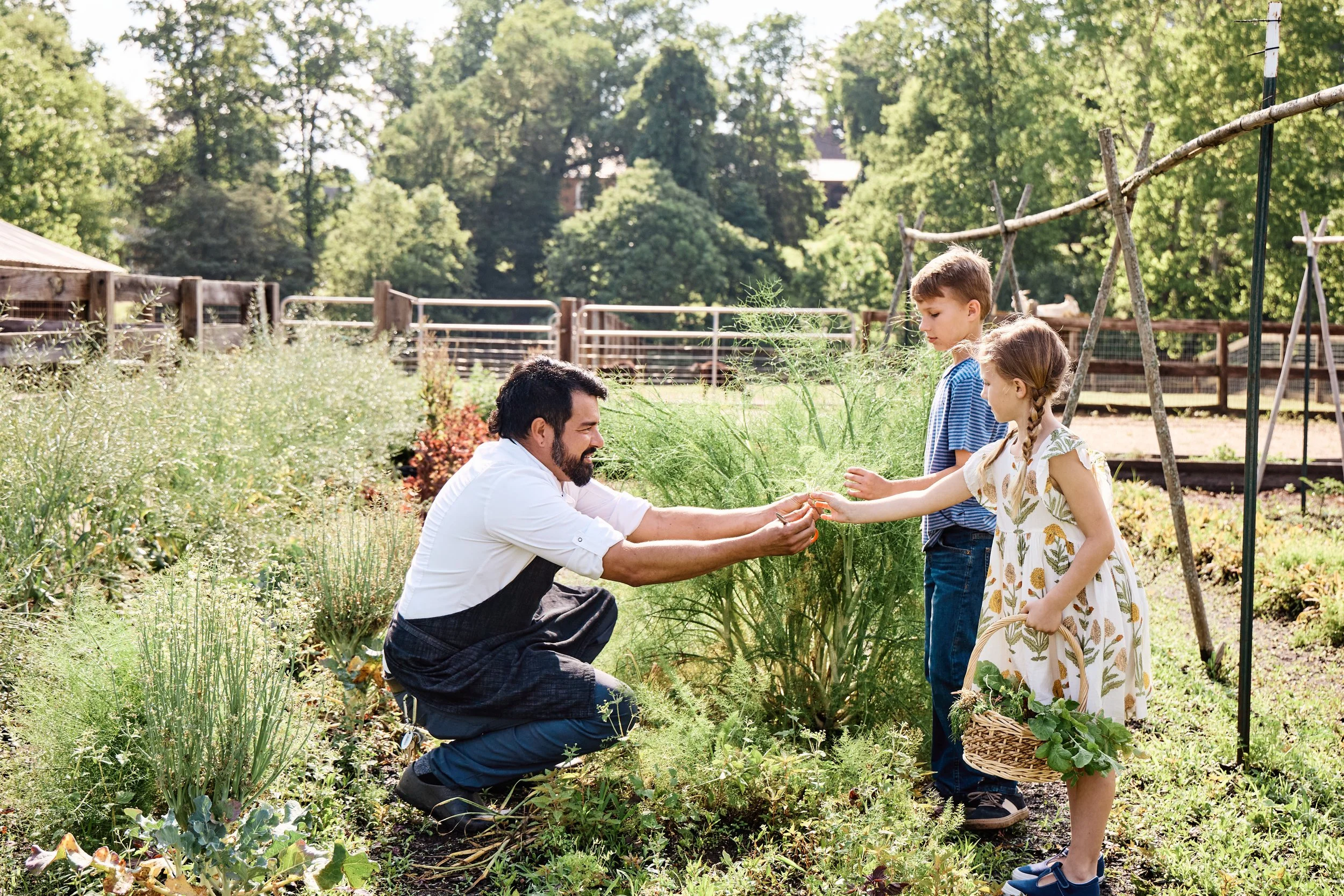 Family - Garden & Farm_Hero (11).jpg