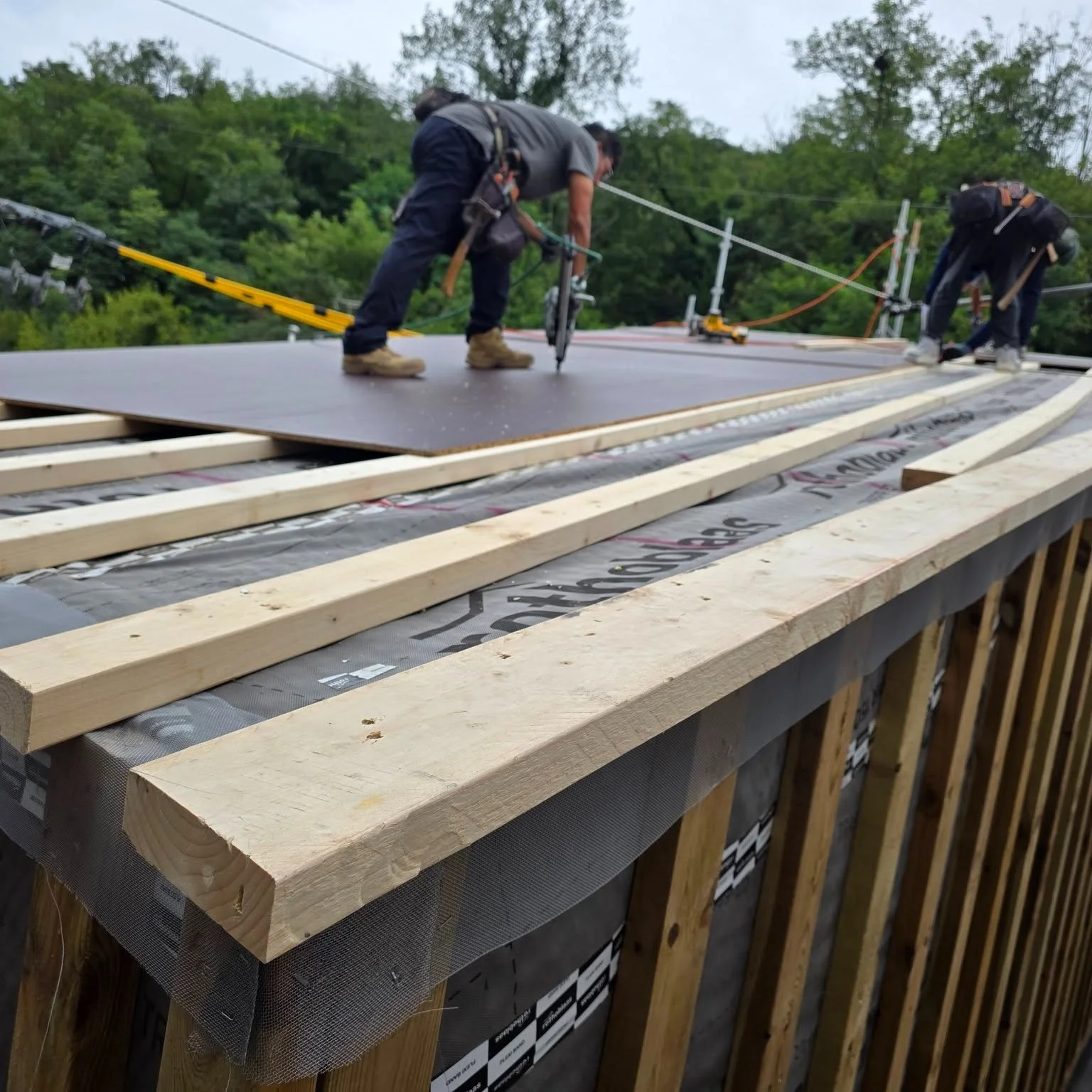 홍은동 신축현장 - 아스팔트슁글 지붕공사

#지붕공사 #슁글 #아스팔트슁글 
#후레싱 #킥아웃 #홈통 #거터 #빗물받이 #낙엽방지
#경량목구조 #목조주택
#빌더 #목수 #전원주택 #단독주택
#집짓기 #시공문의 #시공상담
#빌드앤픽스 #buildnfix