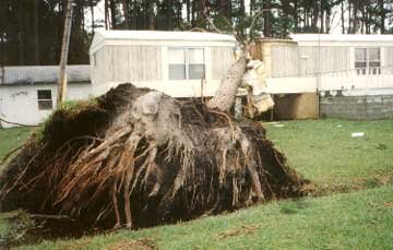 Hurricane Floyd in Davis (1).jpg