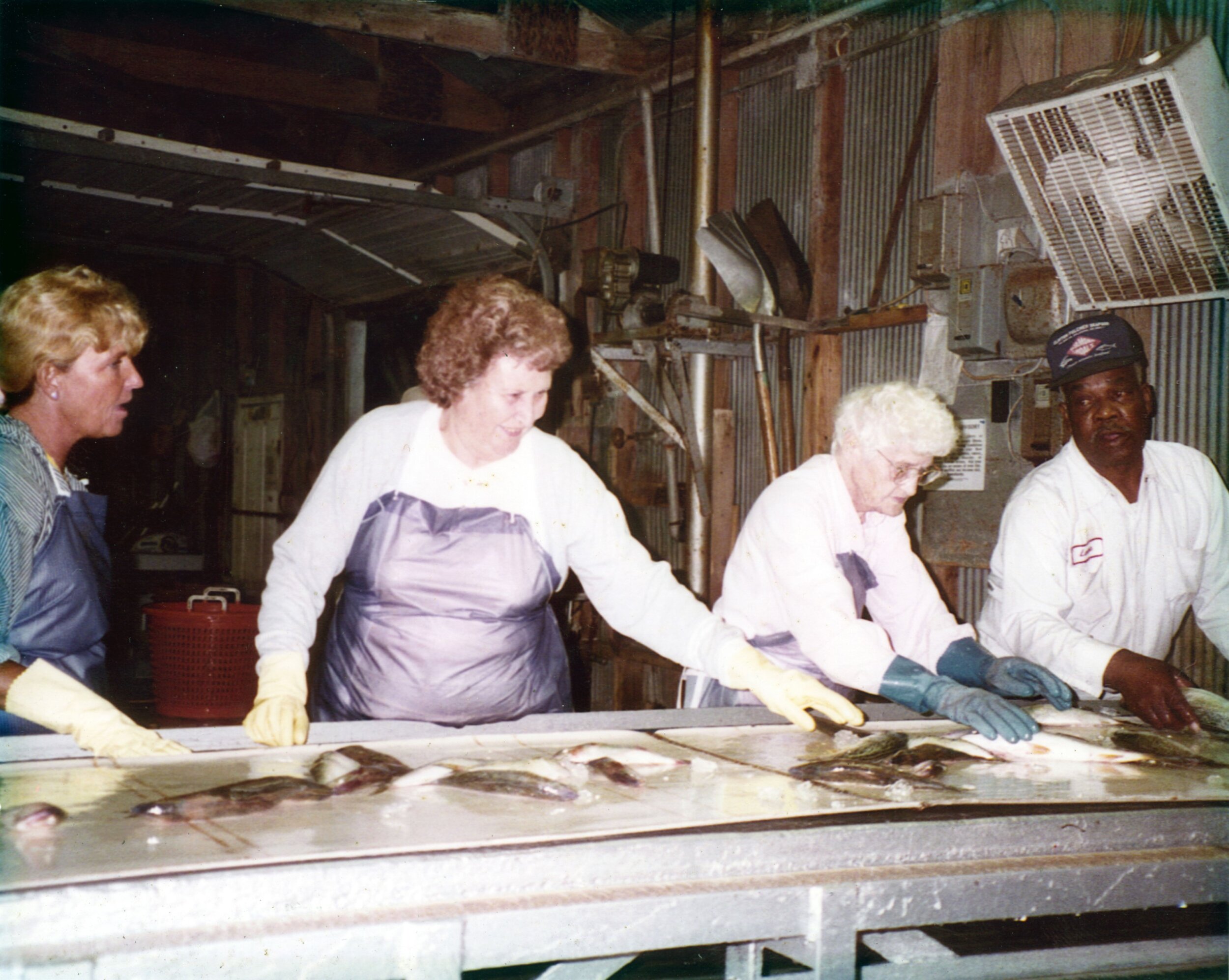 Picking fish at Clayton Fulcher Seafood, Atlantic, NC.jpg
