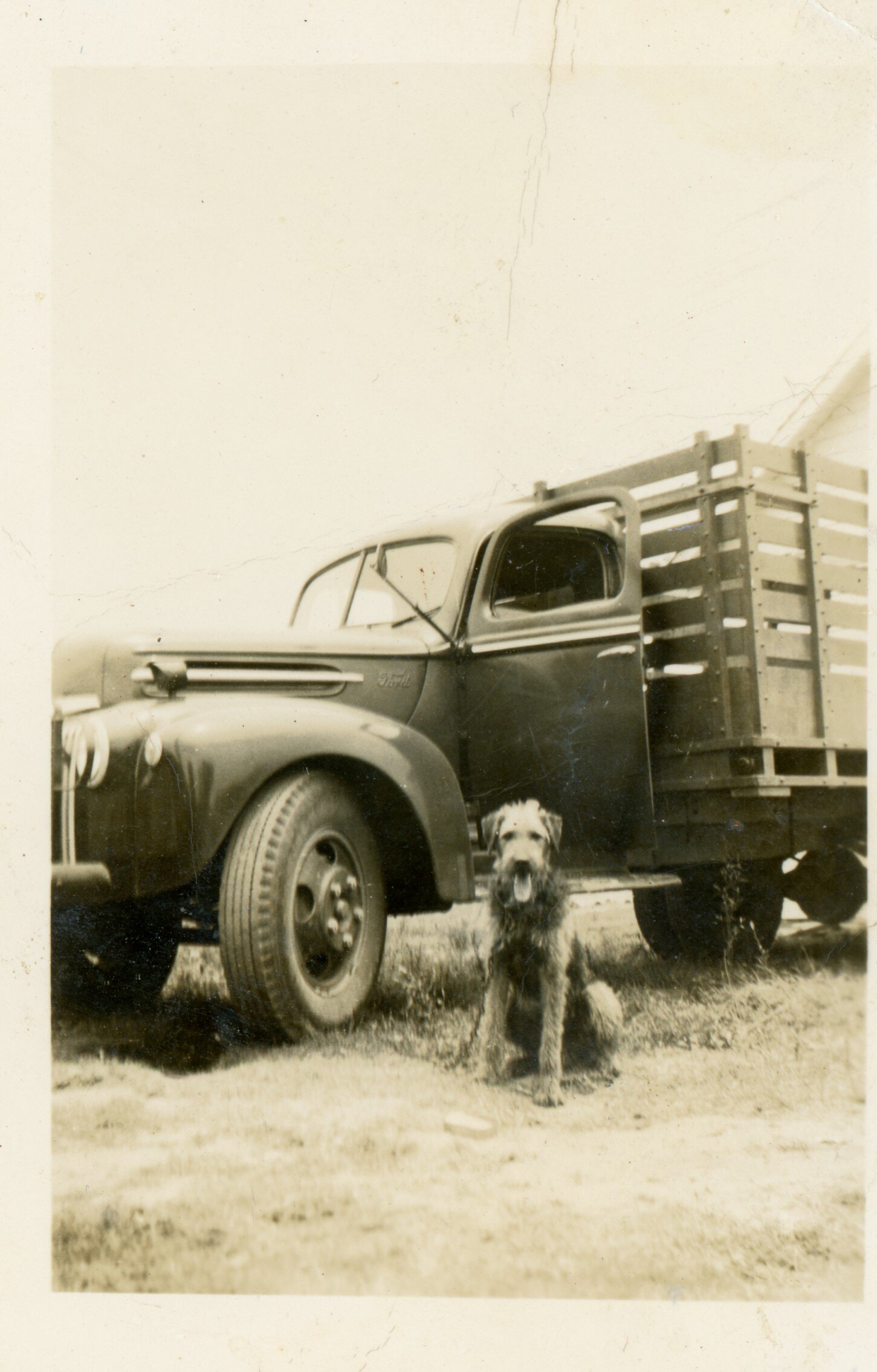 Ira Chadwick Truck and Dog