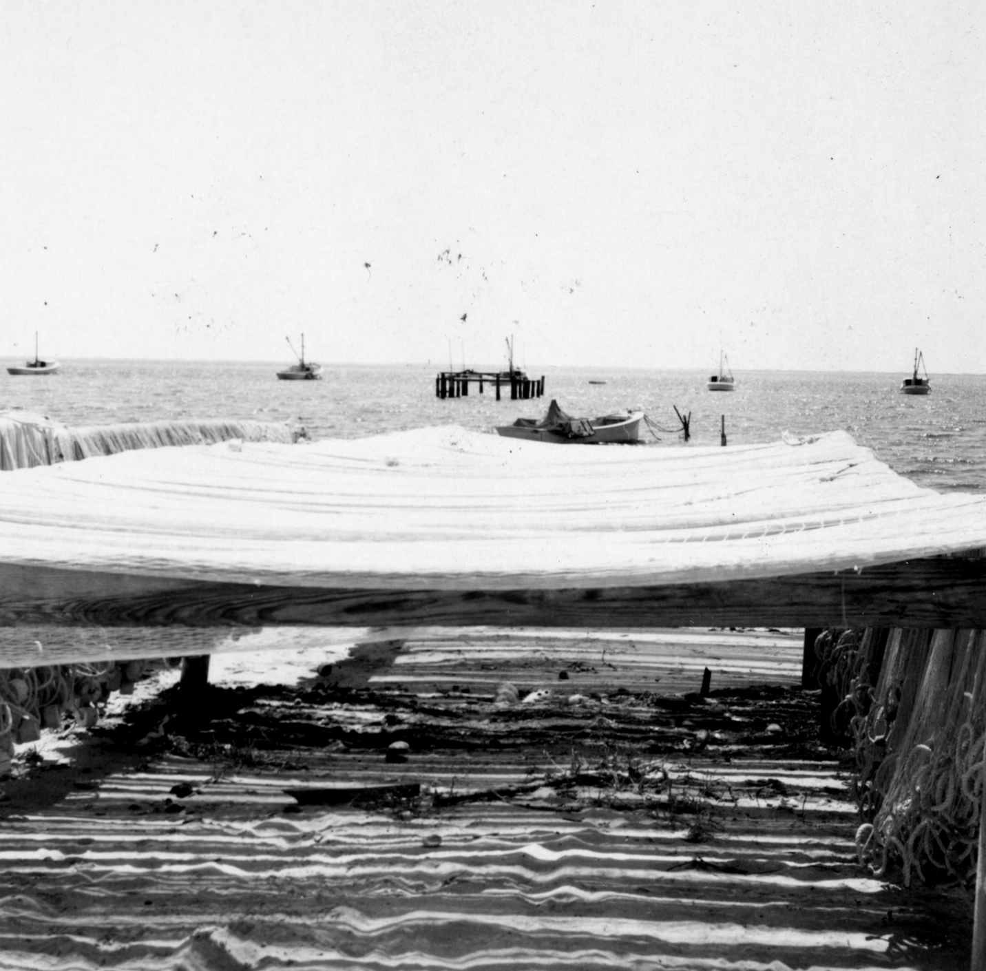 Harkers Island Net Spreads with Nets