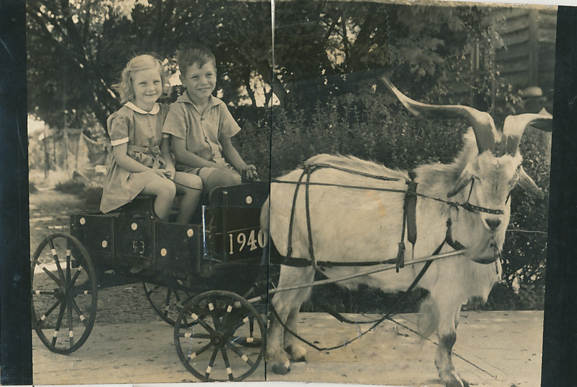 Hattie Dee Davis &amp; Bobby Lawrence sitting in the goat cart, 1940