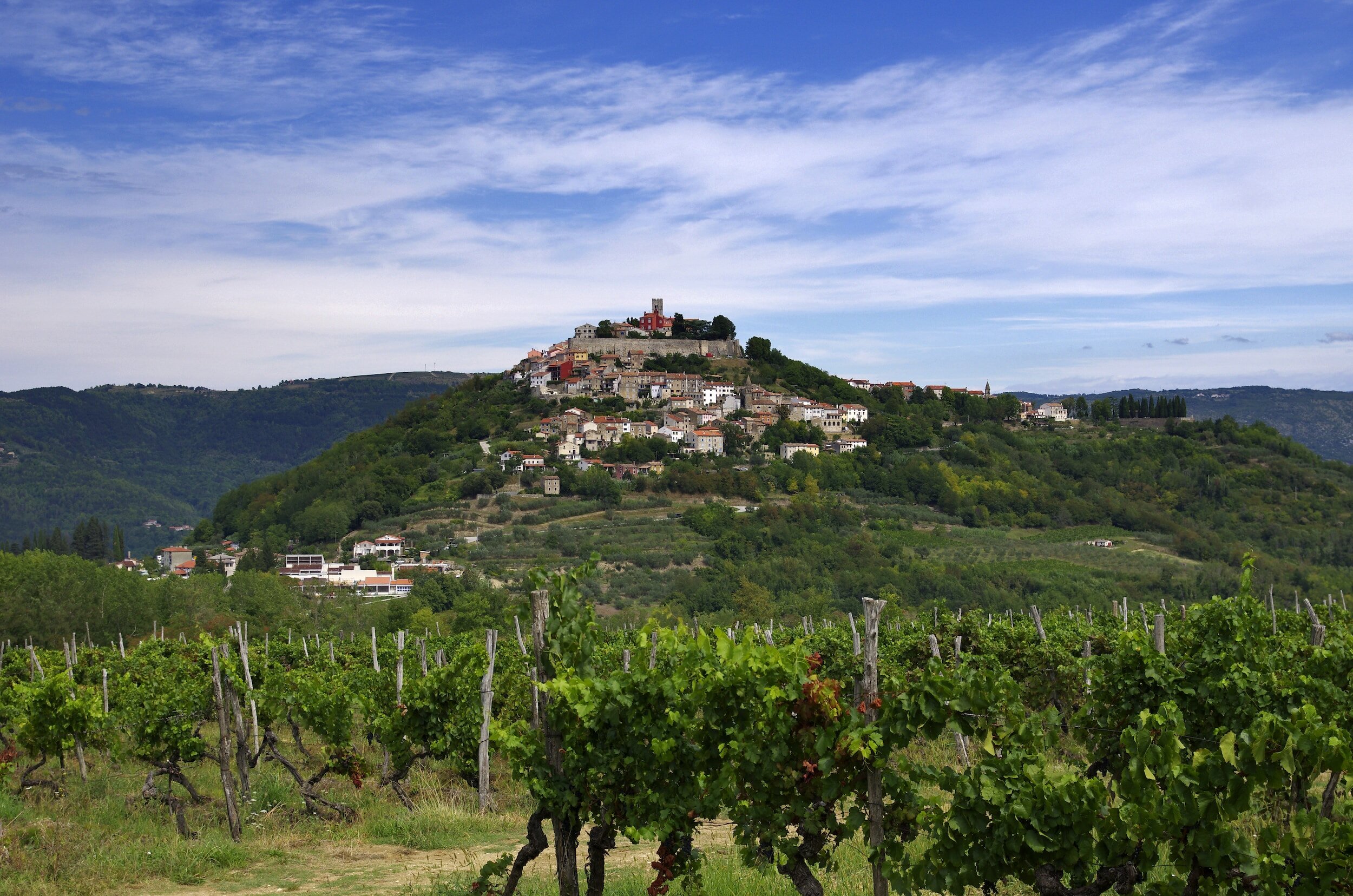 The central Istrian hilltop town of Motovun, seen from the grounds of a vineyard beneath it.