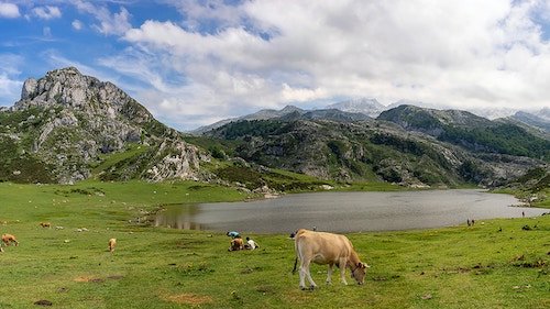 The Lakes of Covadonga in the Picos de Europa Park