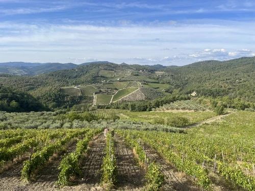 Image for 6 Day Tuscany Itinerary - Florence, Chianti, Siena, and the Val d’Orcia