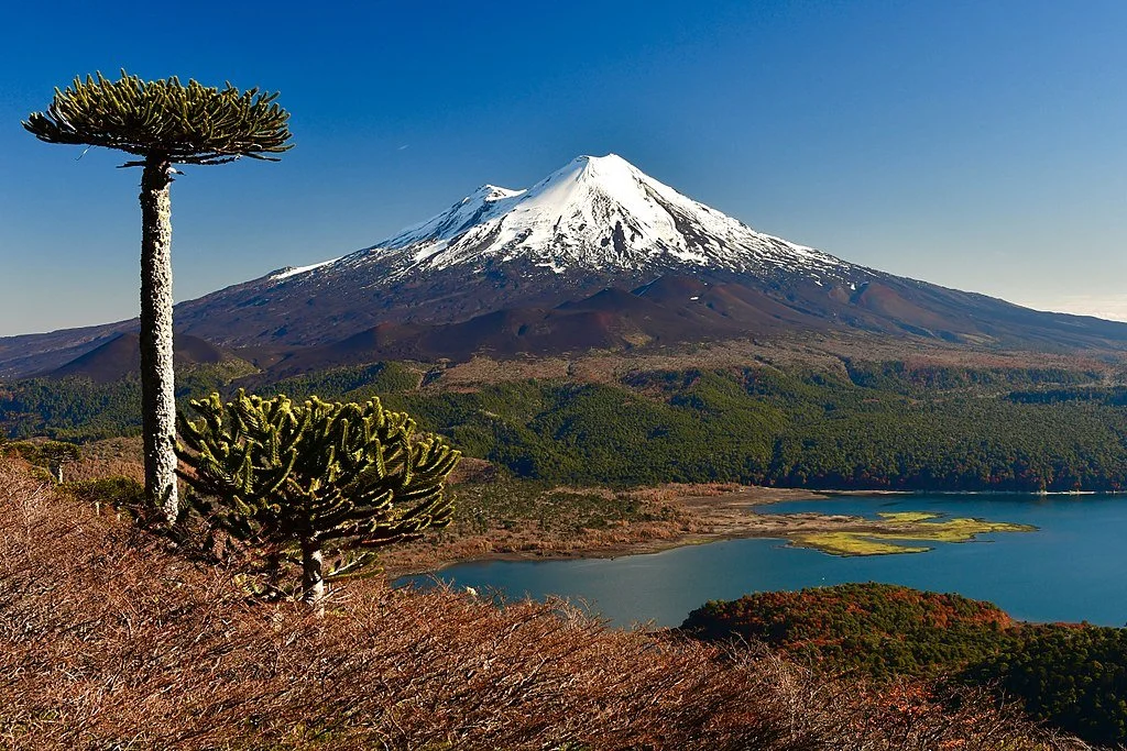 Guide To Conguill o National Park Chile Go Ask A Local guide-to-conguill-o-national-park-chile-go-ask-a-local
