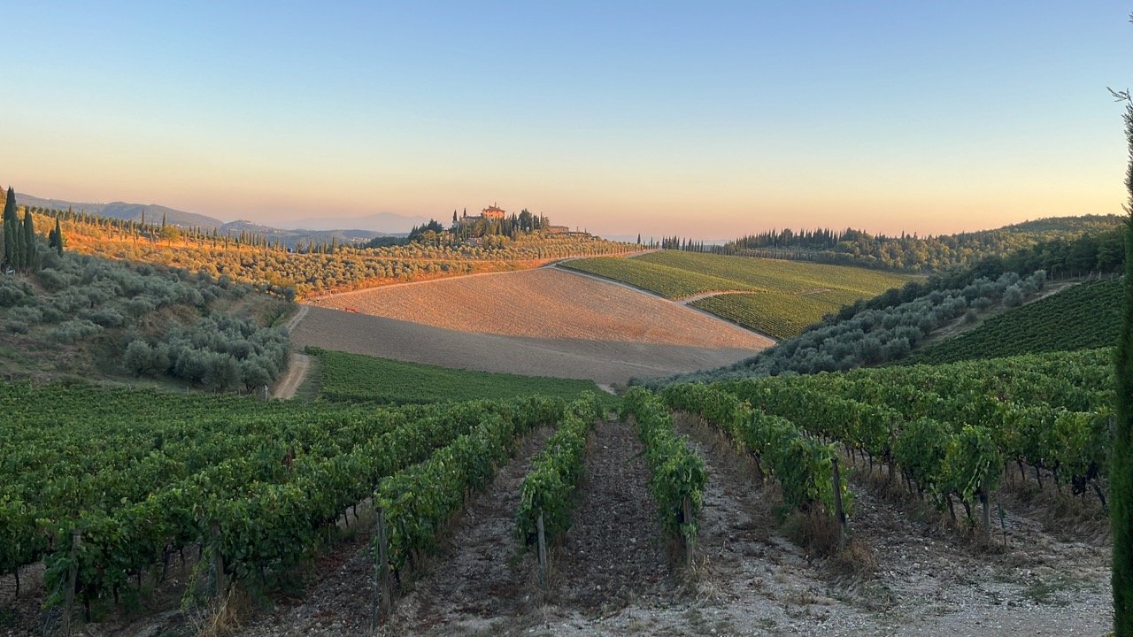 Terraced fields of bright green vines and olive trees surround a starkly demarcated rectangular patch of brown, empty field all watched over by an elegant house parched high atop a hillside in the Chianti region near to Radda.