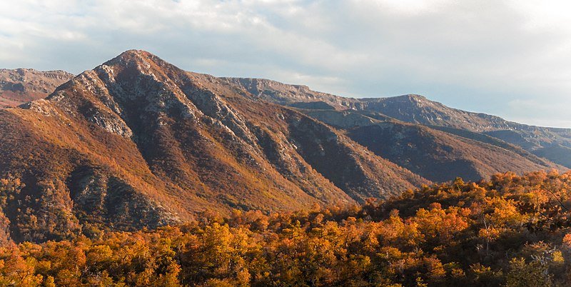 A mountainside covered in trees with burnt orange leaves creates a stunning autumn visual in Altos de Lircay National Park.