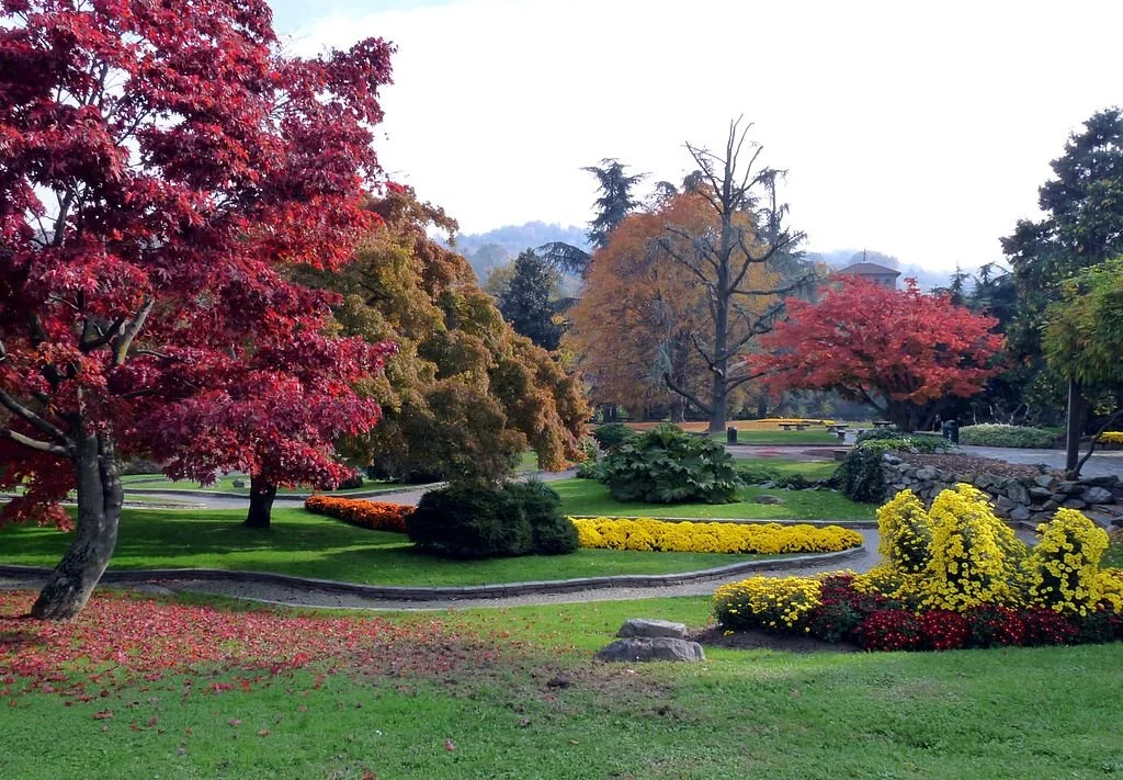 A Local’s Guide to Turin, Italy — Go Ask A Local