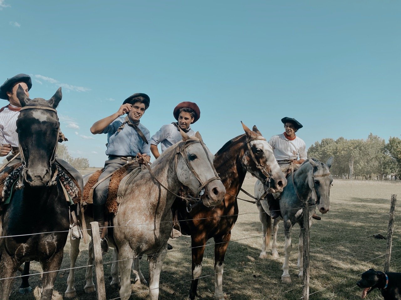 Gauchos on horses in Argentina