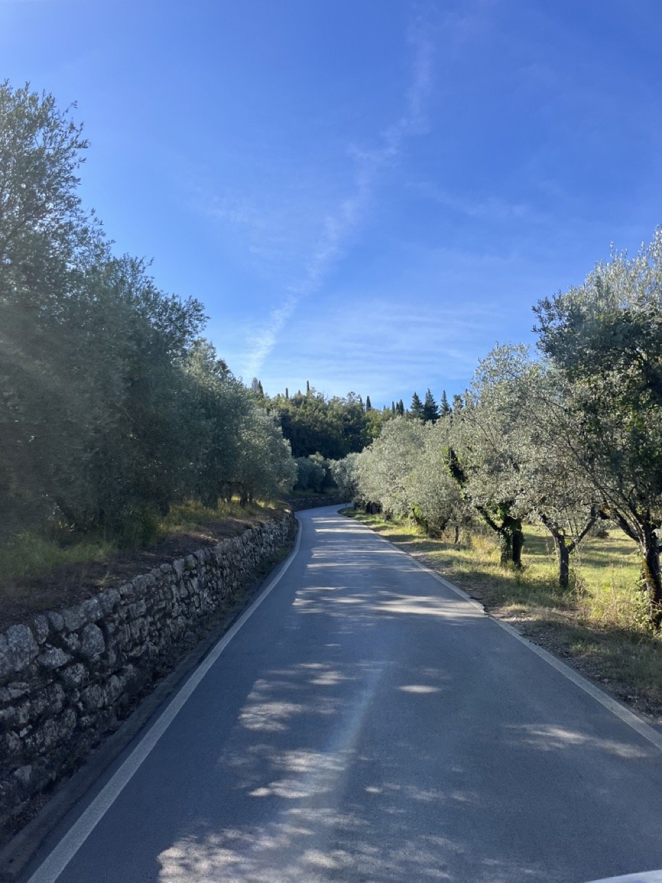 A bucolic country road lined by olive trees and a stone wall near to San Casciano in Val di Pesa, in the Chianti area of Tuscany.