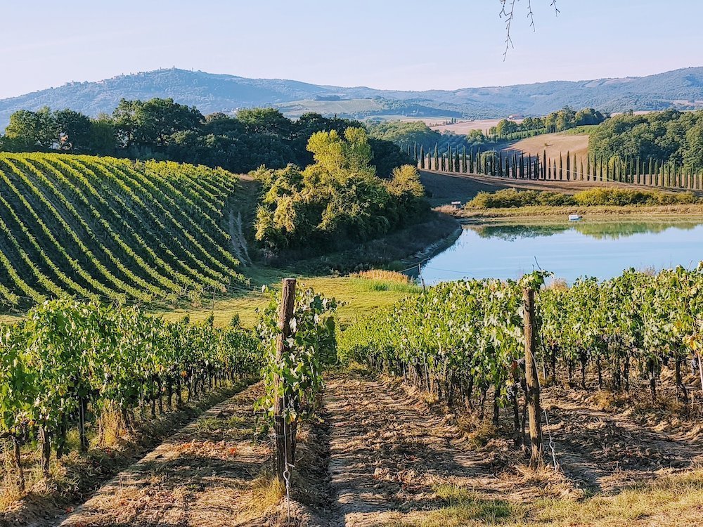 3 day tuscany wine tour