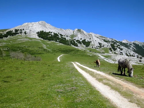 Basque Foothills How to Spend a Week in Spain’s Basque Country - A Local’s Itinerary ...