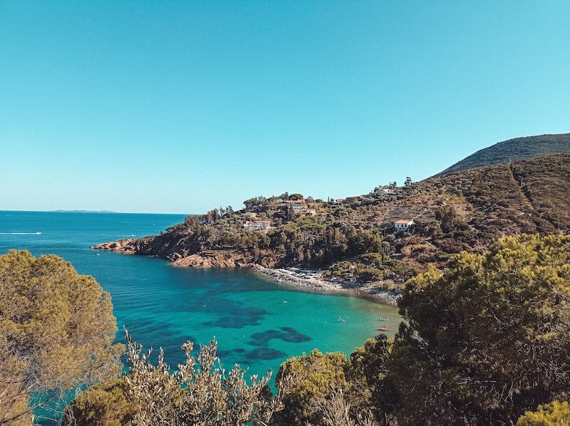 A tree-lined cove on the island of Giglio, with crystal clear, turquoise water
