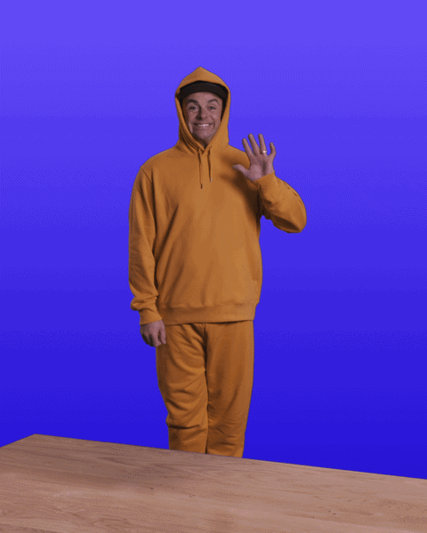 ezgif.com-video-to-gif-converter.gif