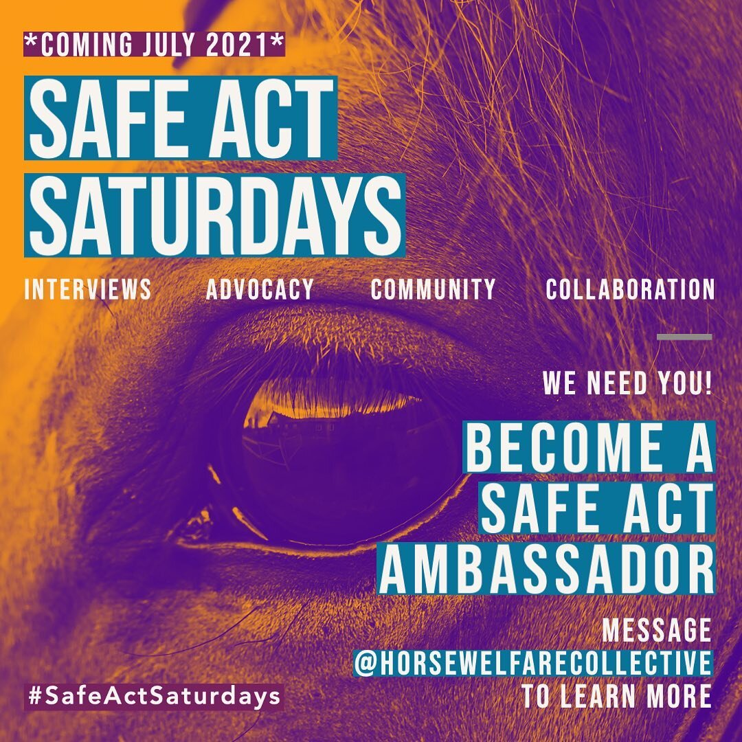 Coming July 2021: SAFE ACT SATURDAYS!!!

Every Saturday, join us for interviews, advocacy efforts, community, and collaborations with the goal of passing the #safeact and ending #horse slaughter. 

Interested in becoming a SAFE Act Ambassador? Messag