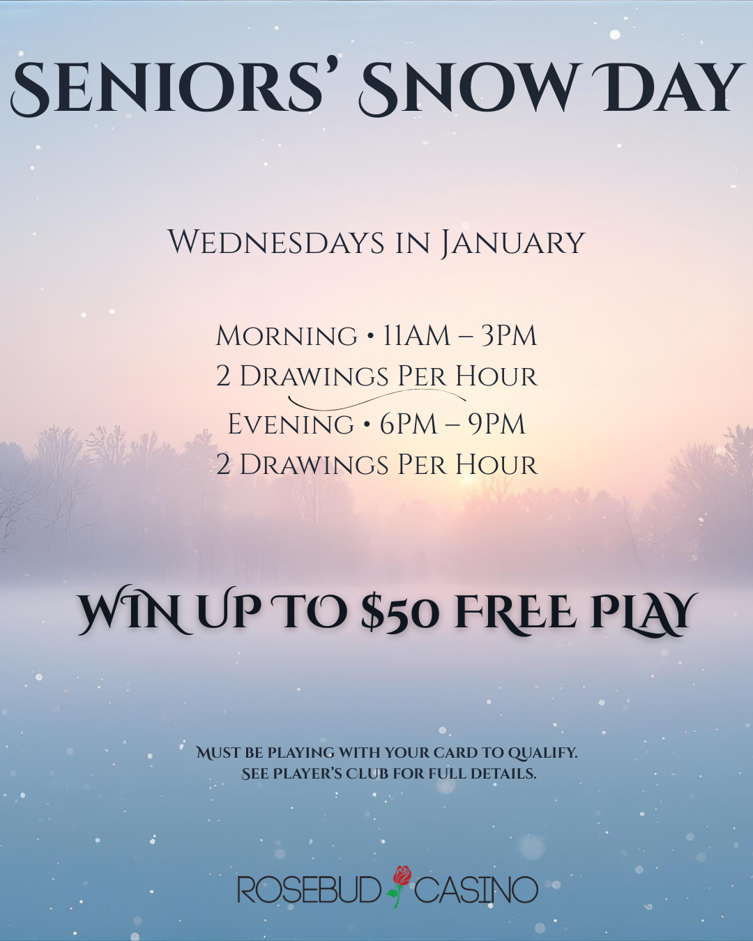 Seniors’ Snow Day 1080 x 1350.png