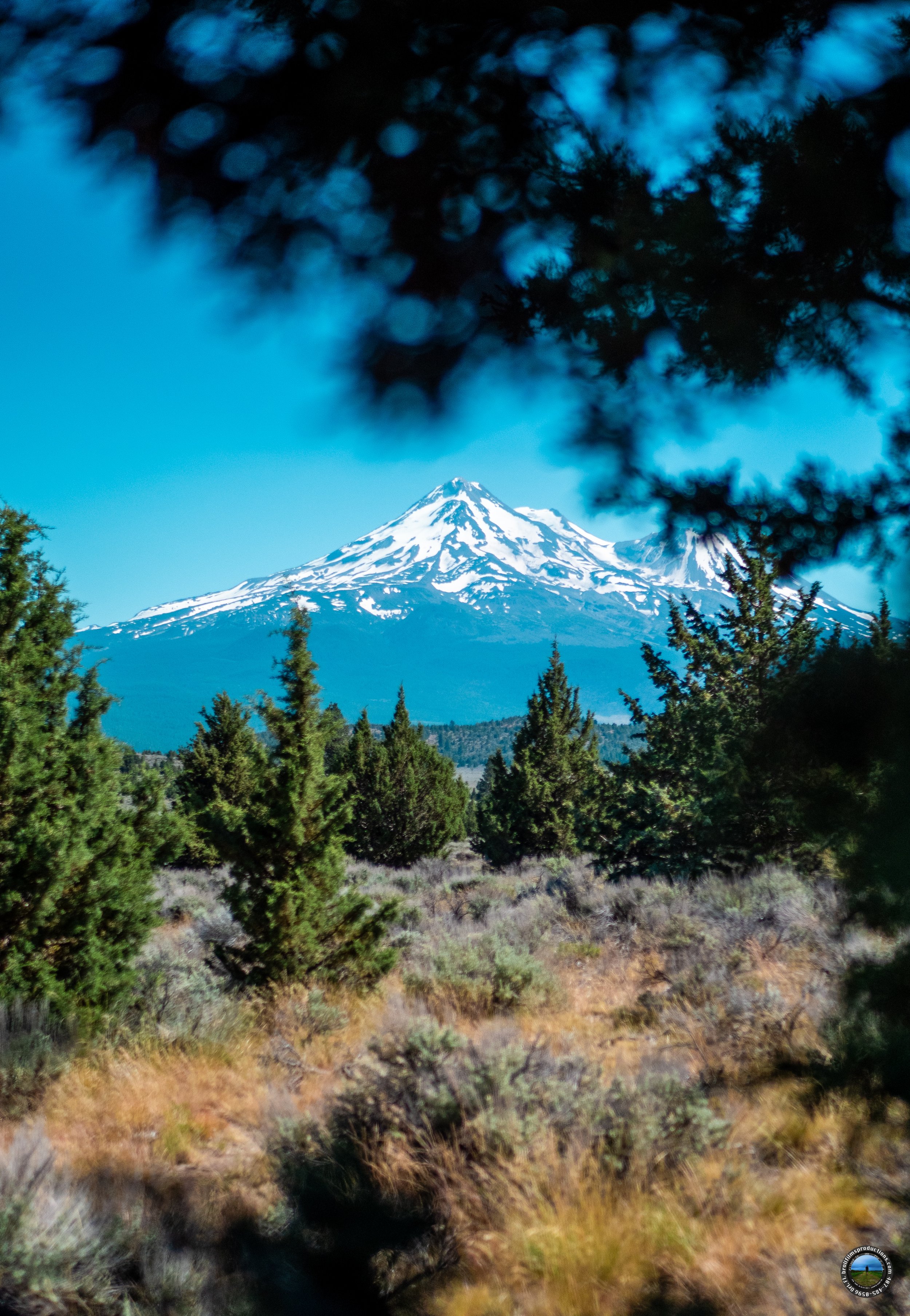 Mt. Shasta, Ca.