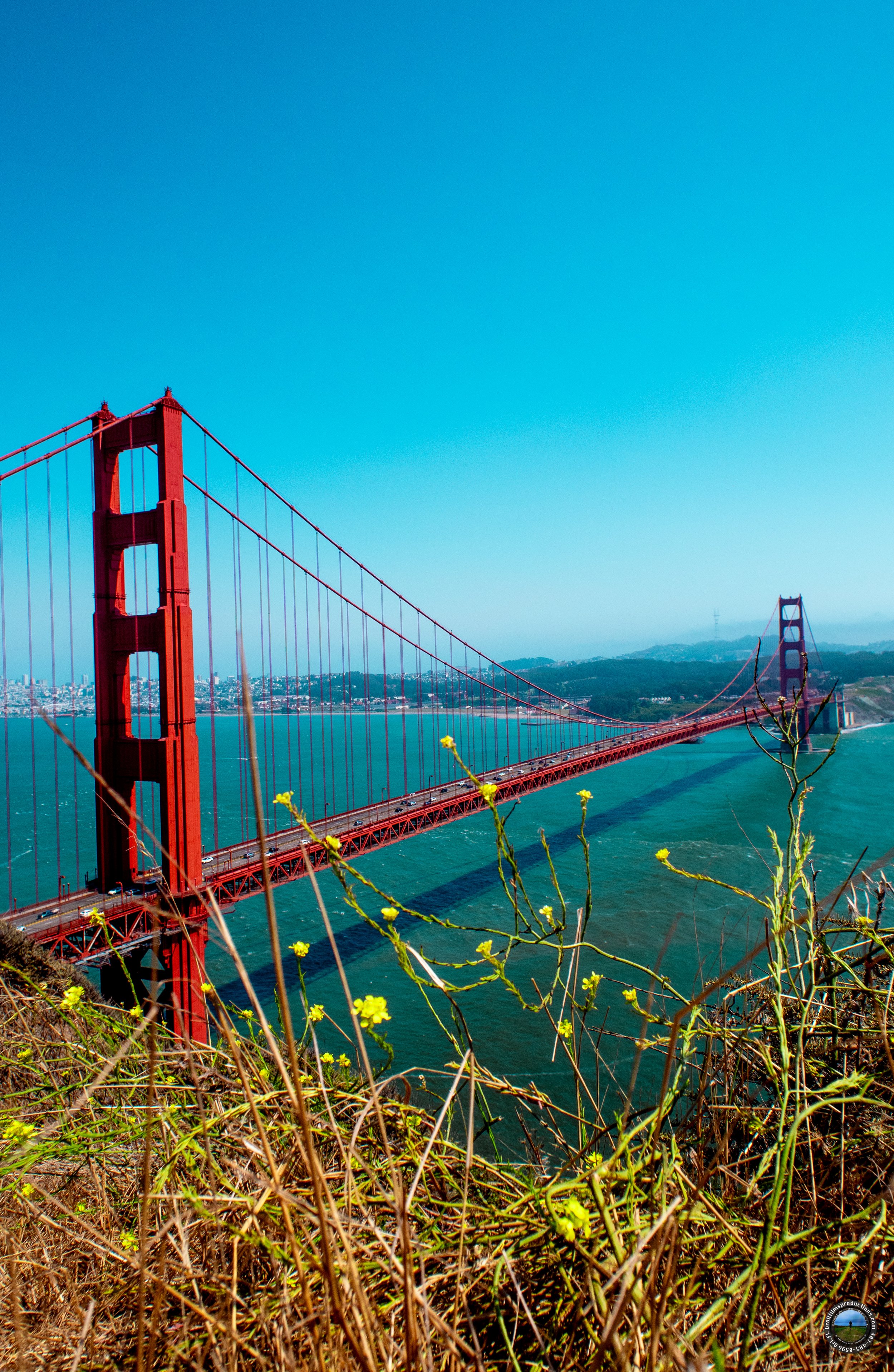 Golden Gate Bridge. San Francisco.