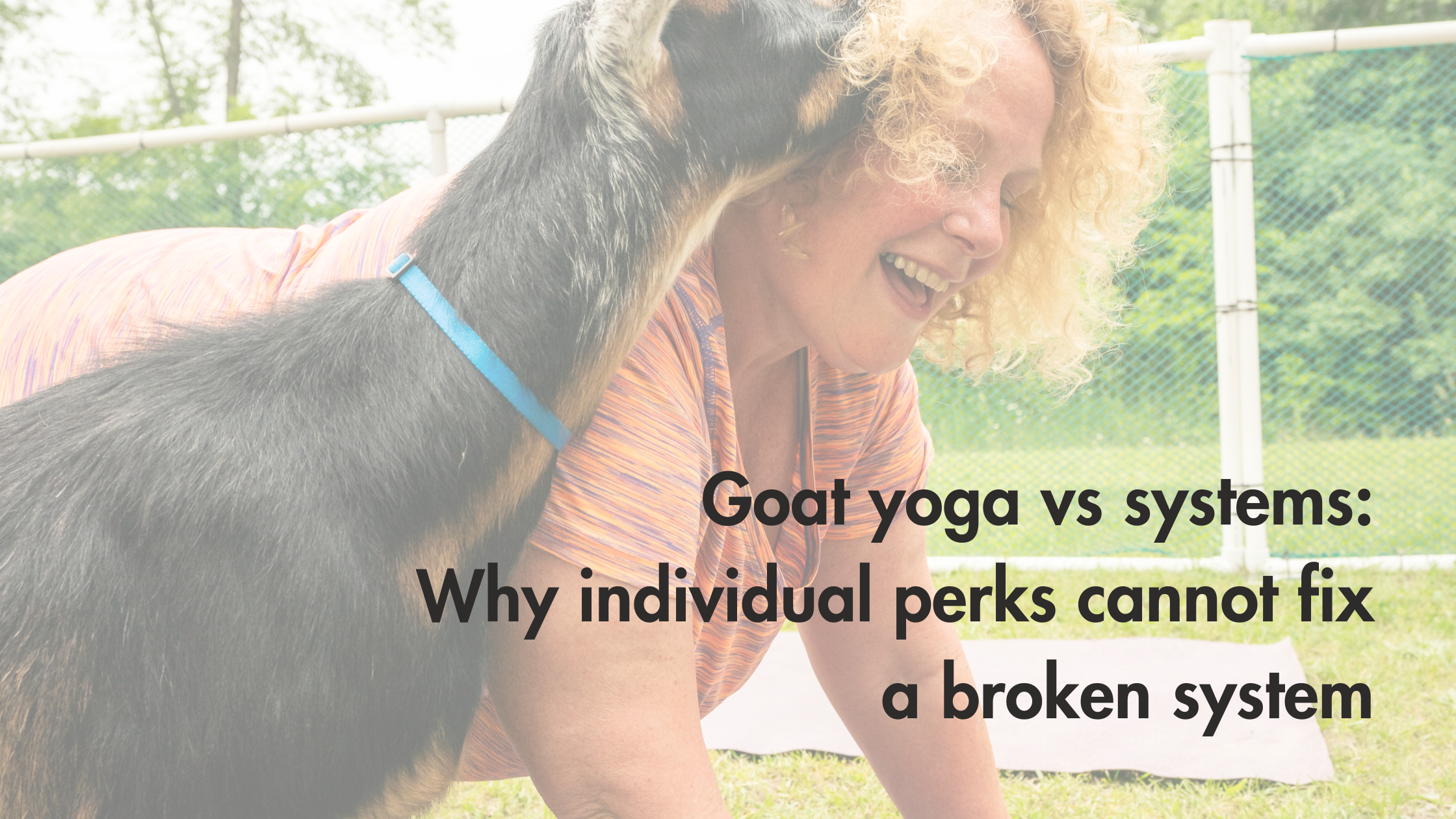 Goat yoga vs systems: why individual perks cannot fix a broken system