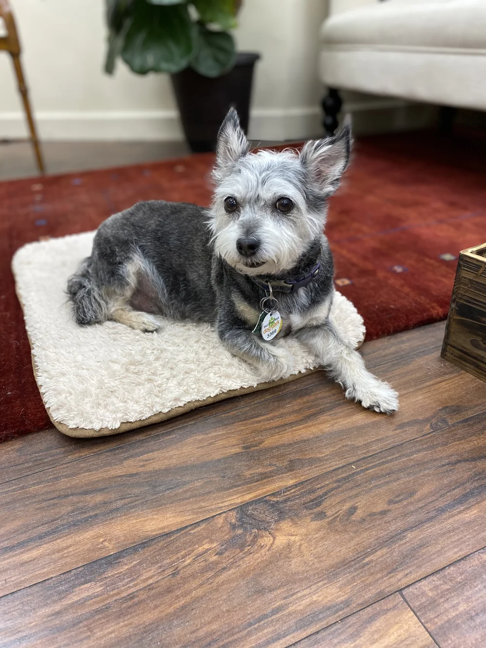 About Us at Allen's Jewelers in Charlotte, NC — Allen's Jewelers