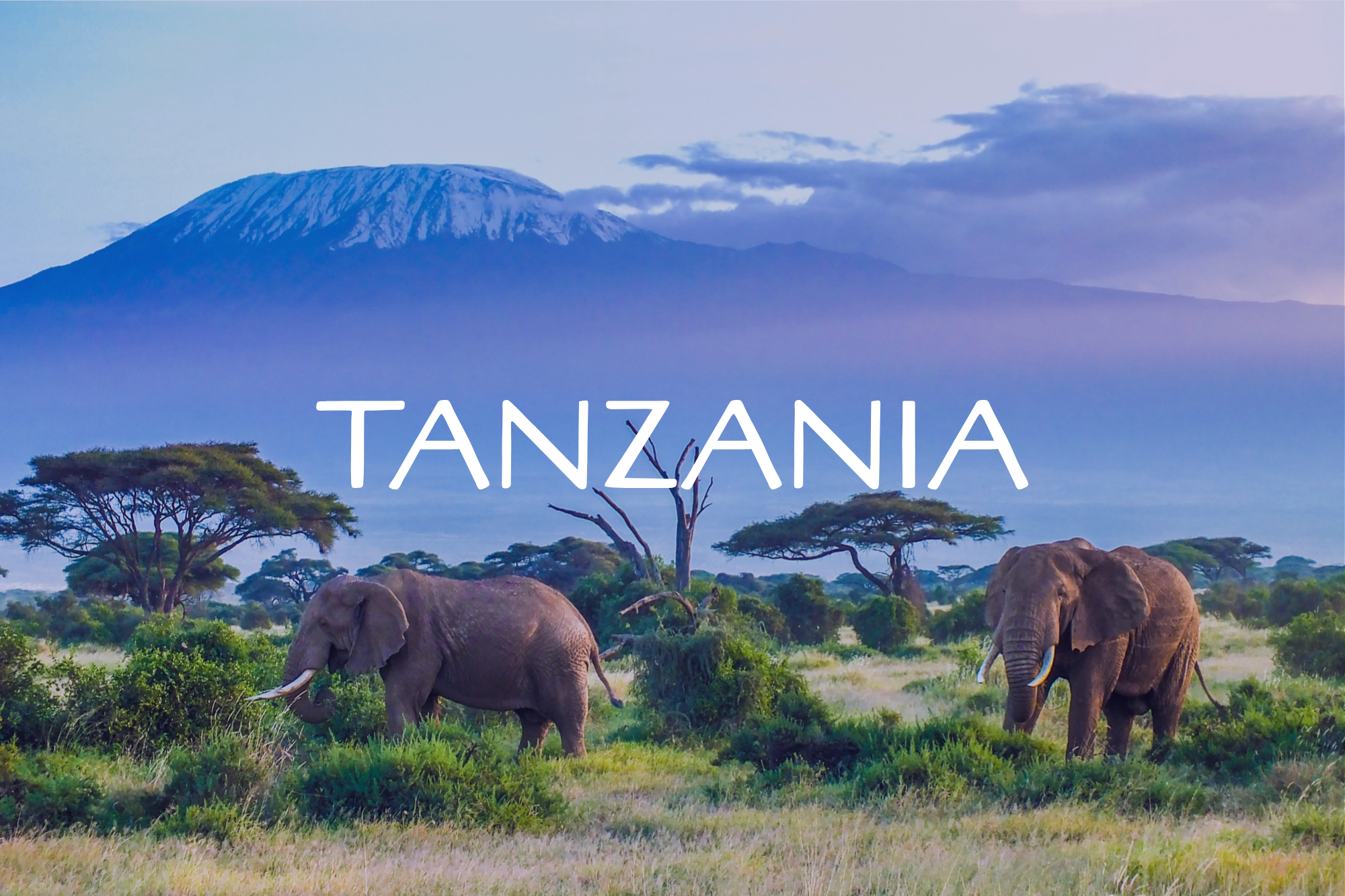 Tanzania