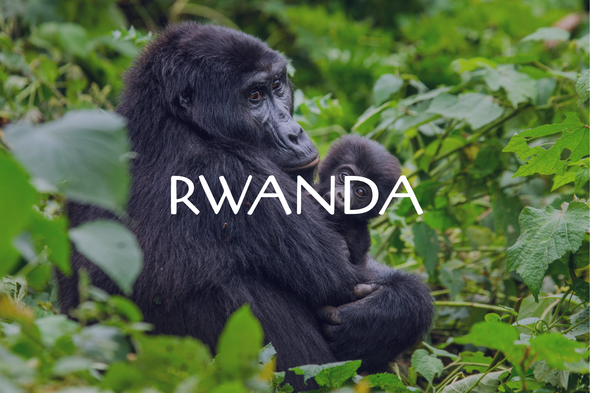 Rwanda