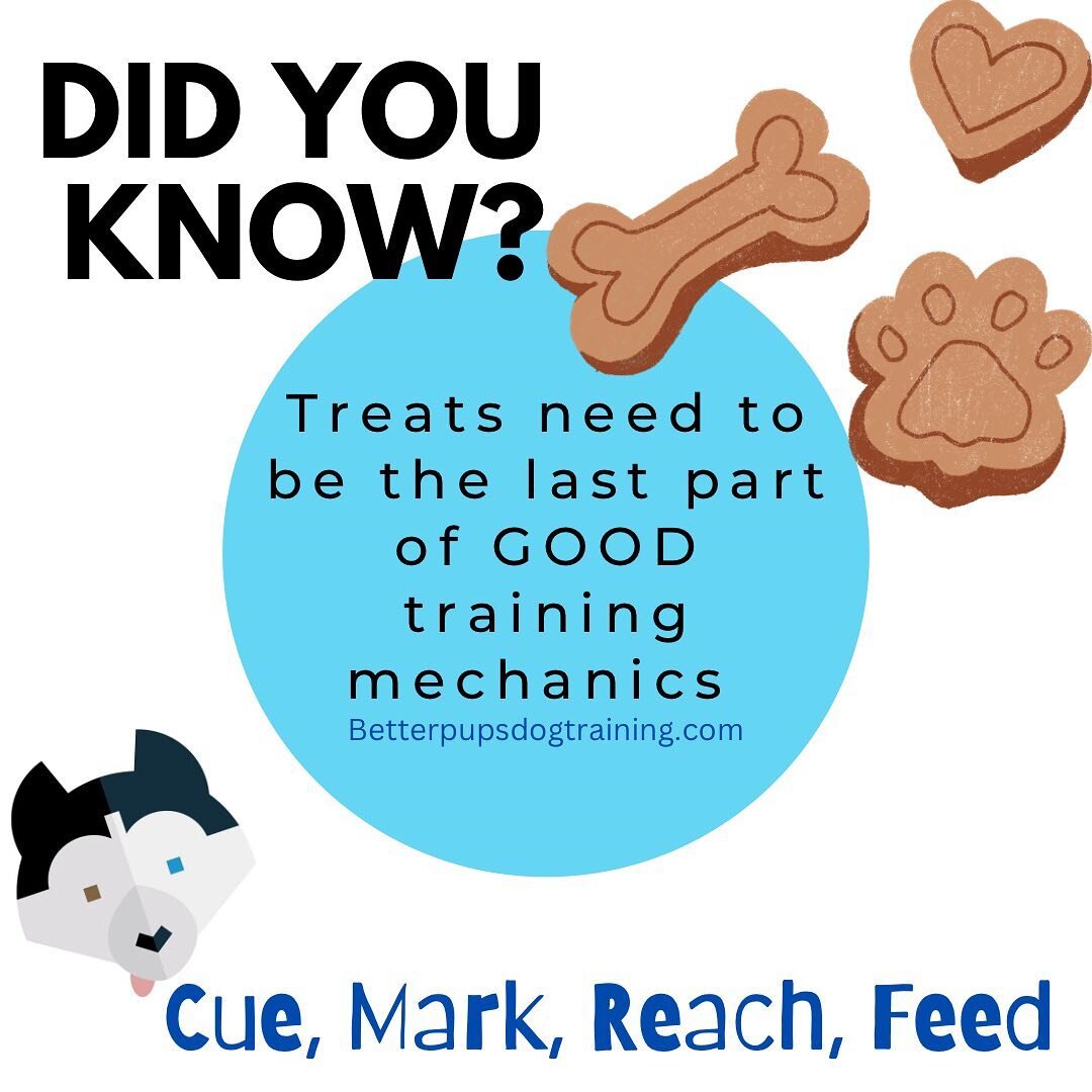 If you&rsquo;re training with visible treats or treats in hand you&rsquo;re doing a big disservice to your training skills.

Great dog trainers teach mechanics.
Reach for the treats LAST. Make your words matter.

#dogtraining #positivedogtraining