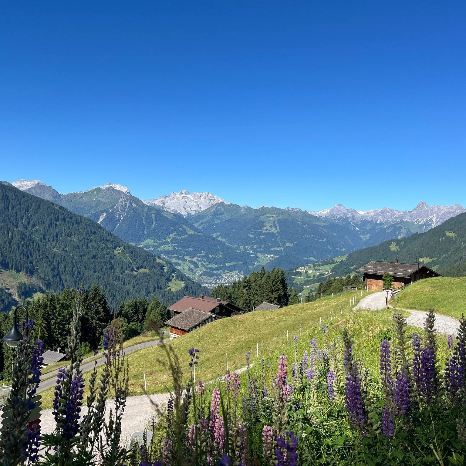 Die Planung steht und die Vorfreude w&auml;chst: Meine Juni-Auszeit ist gesichert! 🏔️✨

Ich habe heute die letzten Details f&uuml;r die gl&uuml;ckstupfer-Auszeit &bdquo;Bergf&uuml;lle&ldquo; (12.6.-14.6.2026) fixiert und freue mich riesig auf die ge