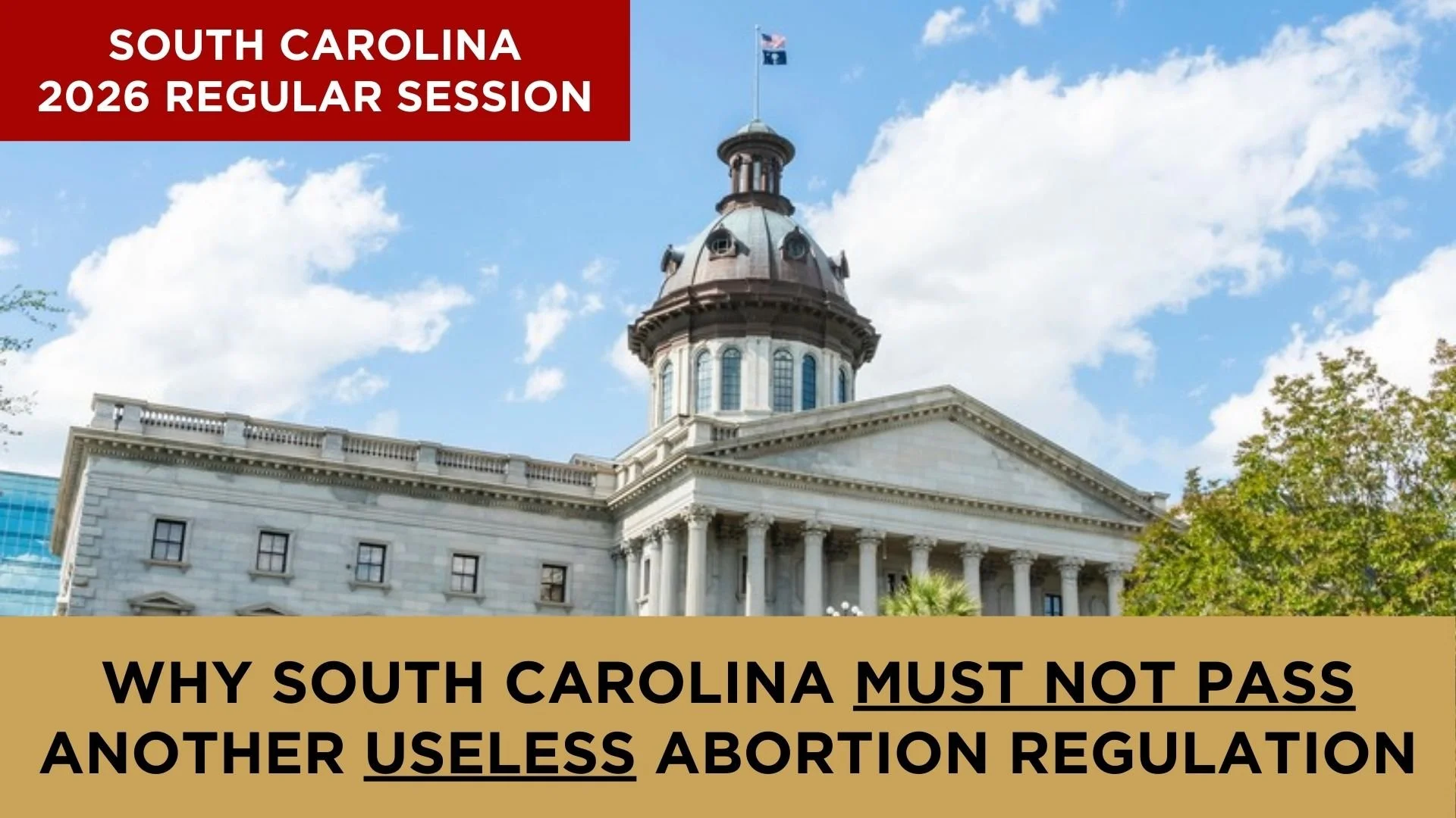 Why South Carolina Must Not Pass Another Useless Abortion Regulation