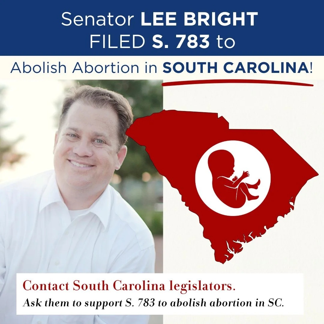 Equal Protection Bill Filed in South Carolina Senate for the First Time