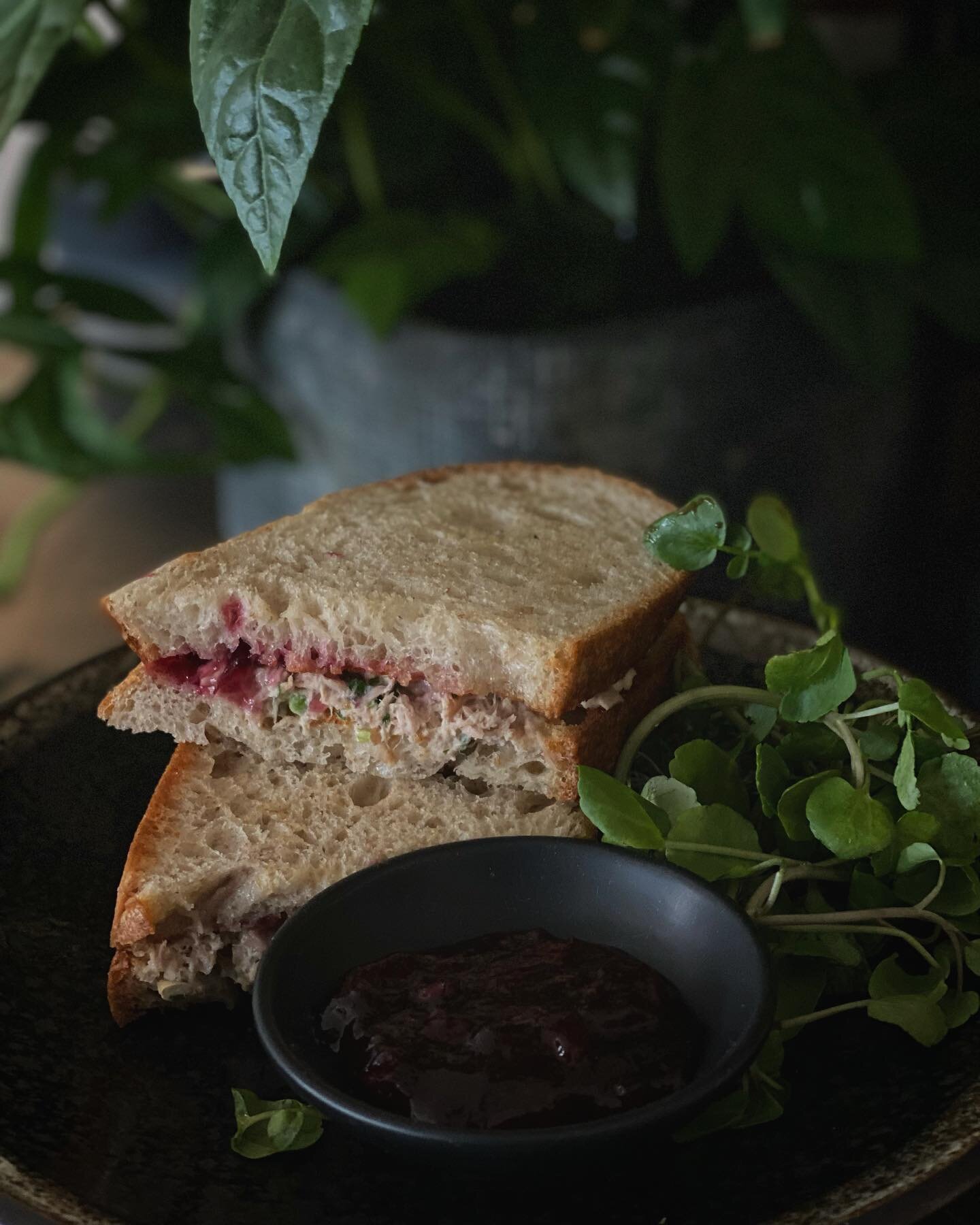 .. tuna and cranberry coming with bang! You need to try it before you judge..

Have a great weekend guys xx

#perfectmatch #need #to #try #tunamayo #cranberry #sourdough #myfavorite #sandwich #lunch #lunchideas #quickbite #food #foodenvy