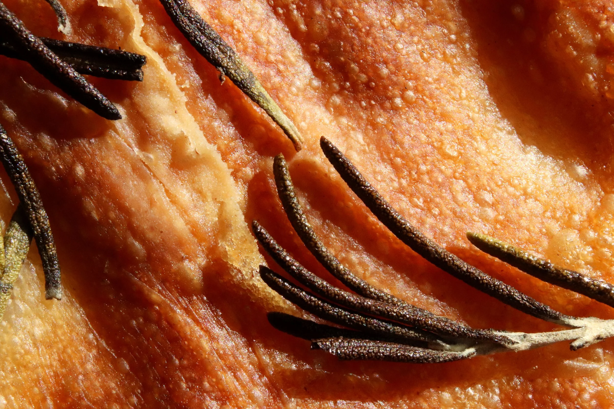Foccacia-Macro.jpg