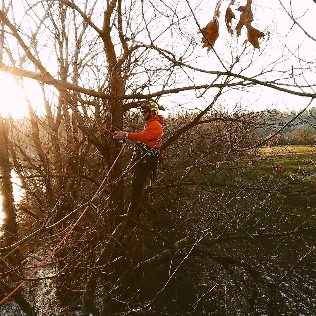 Hey everyone! I&rsquo;m Ben Knipe, I own and operate BK Branches. I&rsquo;ve been an arborist for a few years now and love to continue to learn new things everyday. I have a huge passion for the industry and can&rsquo;t wait to work with you! 

visit