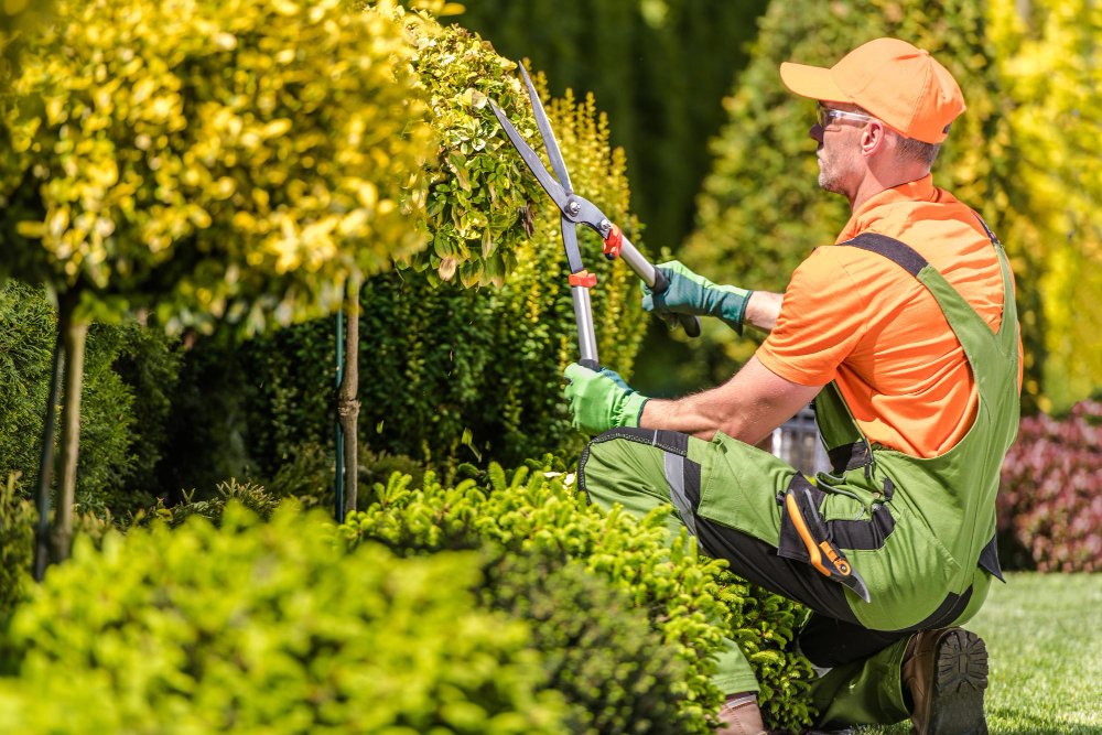 Thriving in a Niche: The Advantages of Running a Small Landscaping Business.
