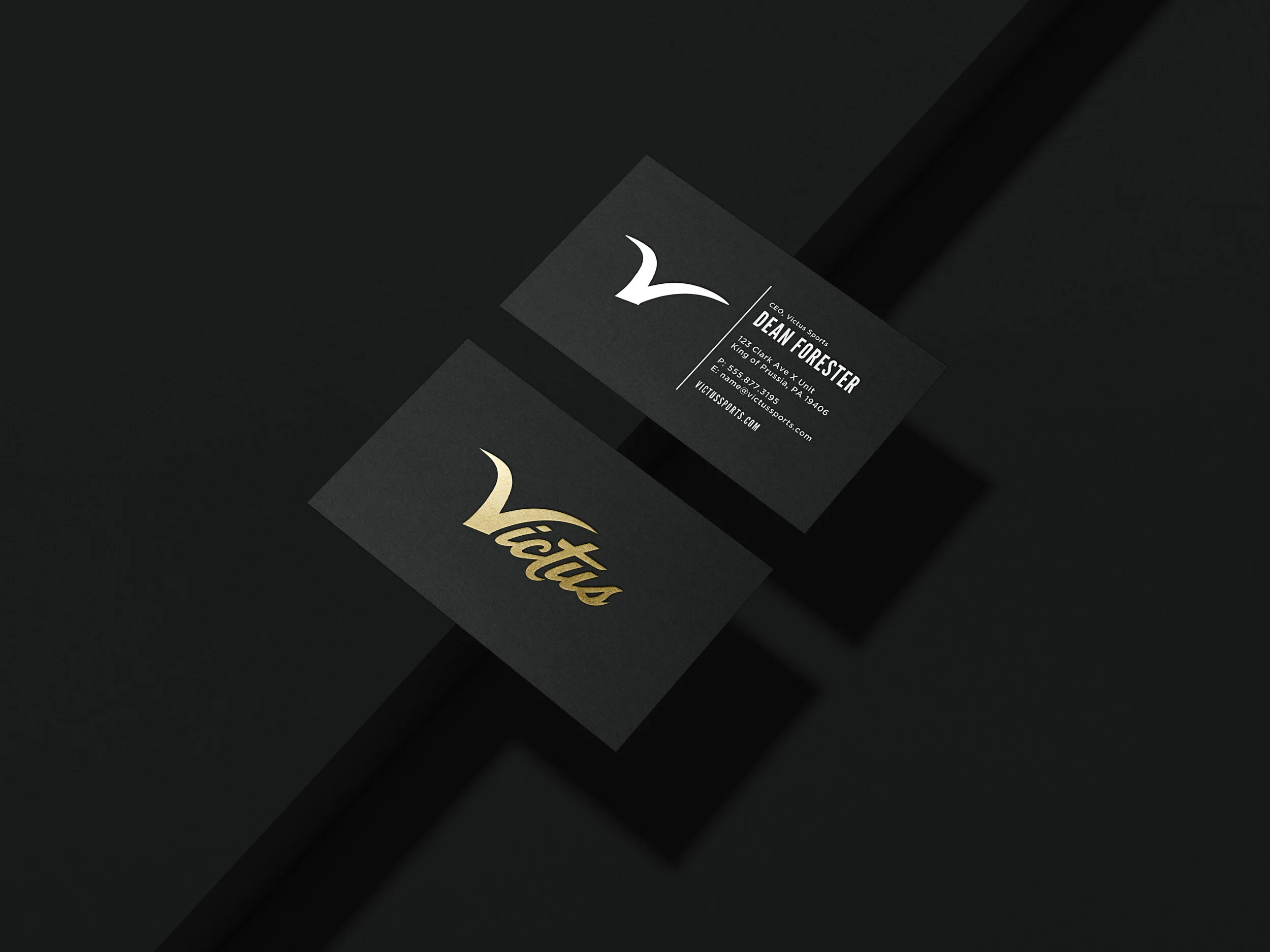 210624-Preview-03_BusinessCards_StandardMoo-Victus2019iai-01-01.jpg